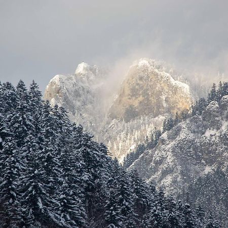 Ubytovanie U Jozefa Červený Kláštor Esterno foto