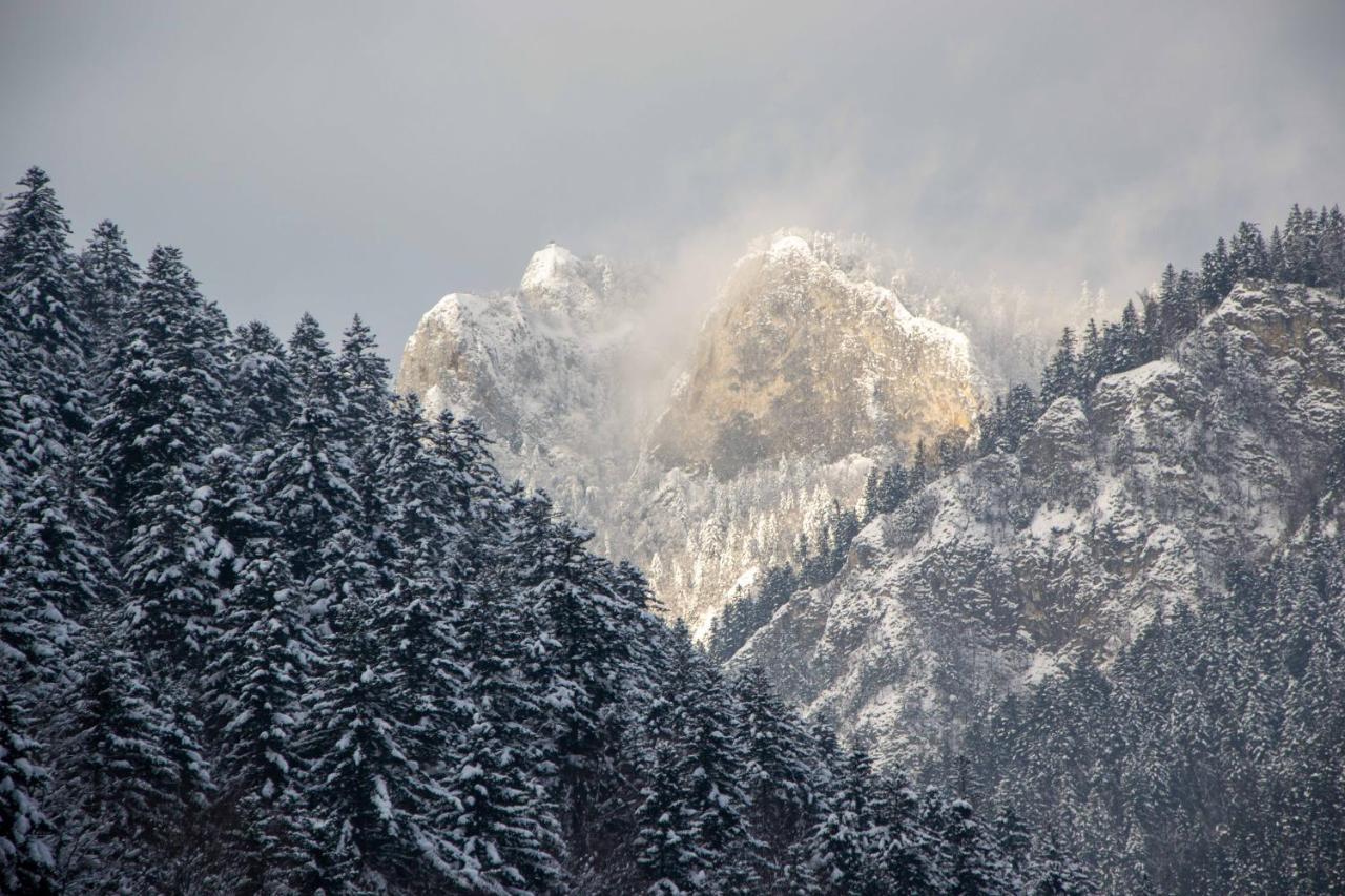 Ubytovanie U Jozefa Červený Kláštor Esterno foto
